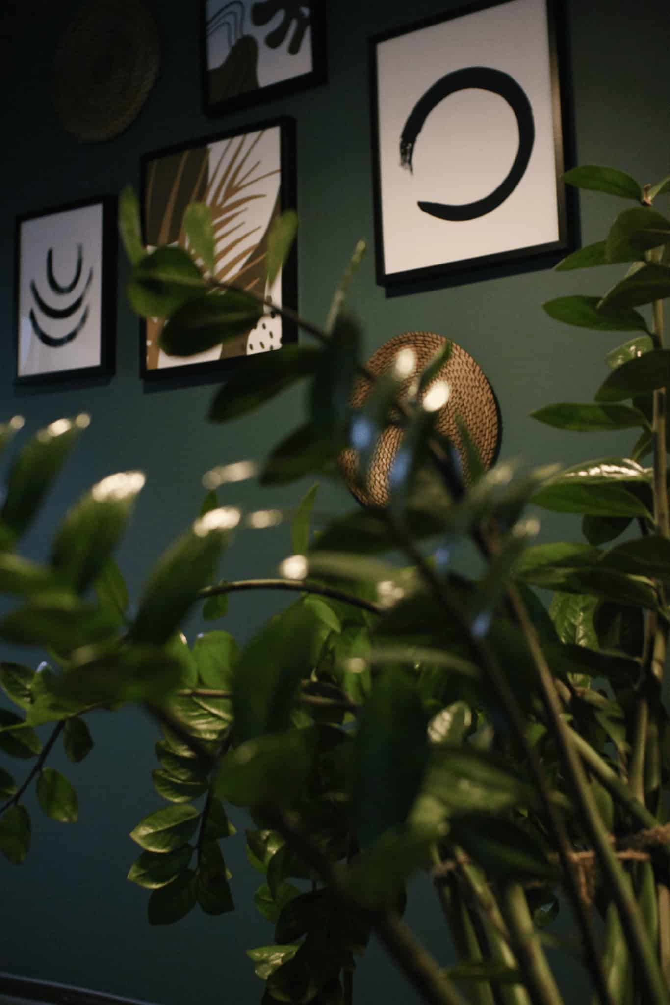 Photo of TradingView office